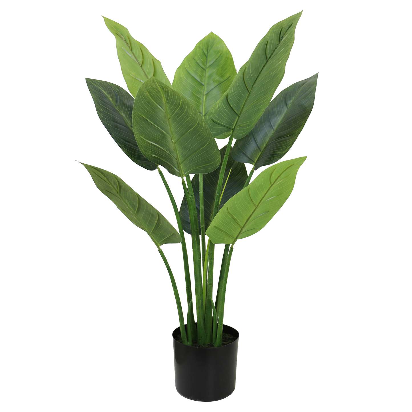 Aureum Bonsai Faux Leaves Plant in Plastic Pot