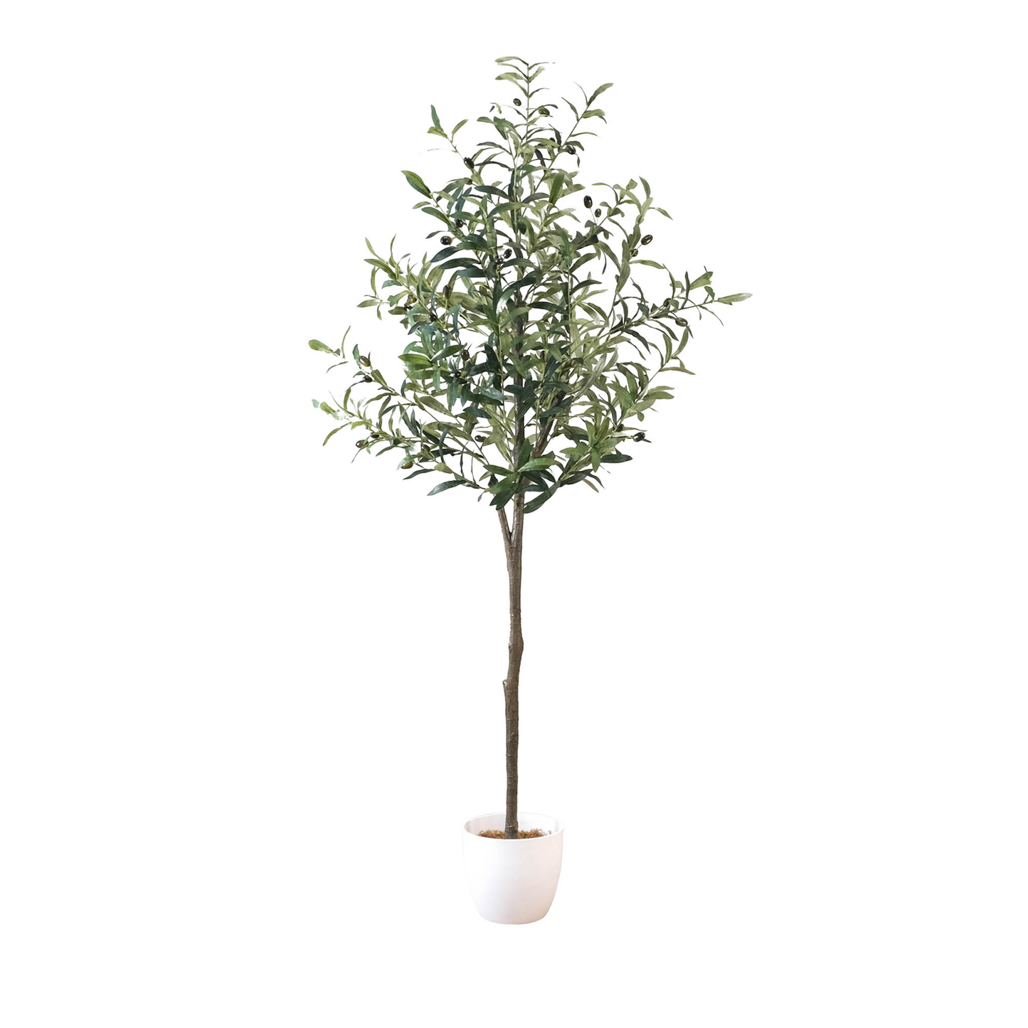 LIfelike Olive Tree