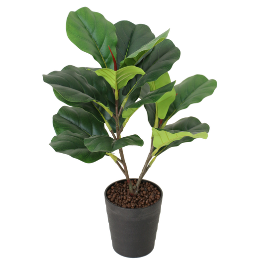 Artificial Fiddle Fig Tree - Greenery Accent