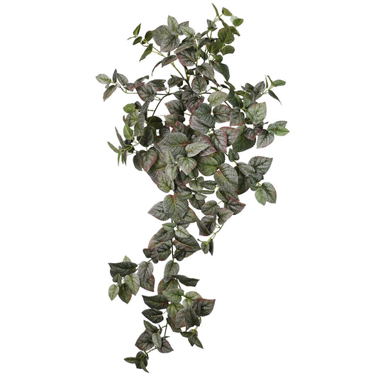 Decorative Hanging Plant - Deep Green Perilla Leaves Bush