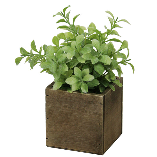 Lifelike Plant in Rustic Wooden Pot